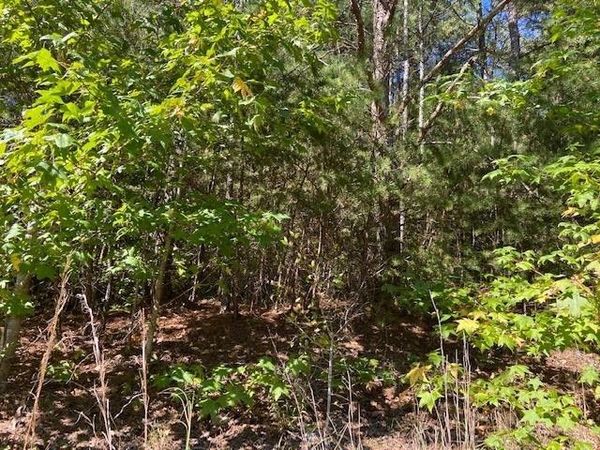 0 Hwy 142, Shiloh, TN 38376