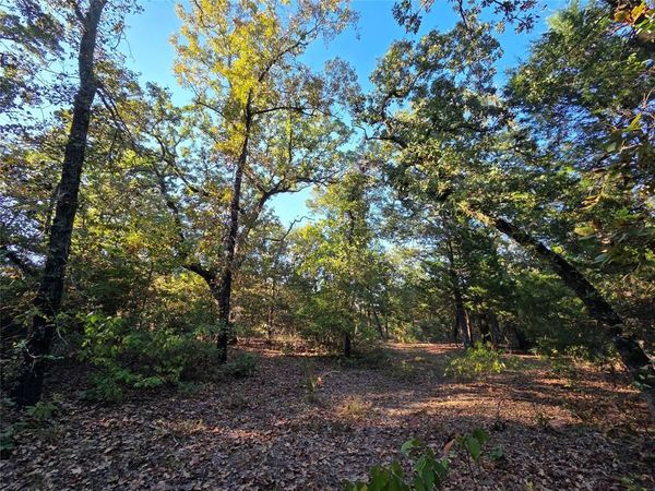 Lot 466 CR-4710, Larue, TX 75770