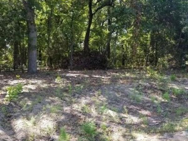 N/A Birch Drive, Murchison, TX 75778