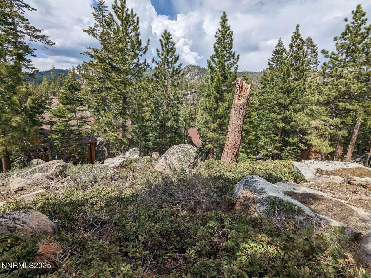 716 Tina Court, Stateline, NV 89449 Photo