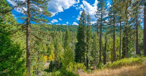 5382 Main Street, Johnsville, CA 96103 Photo