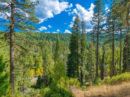 5382 Main Street, Johnsville, CA 96103 Photo