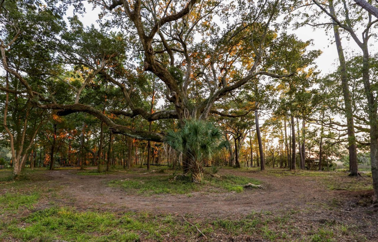 0 Haswell Street Photo 10