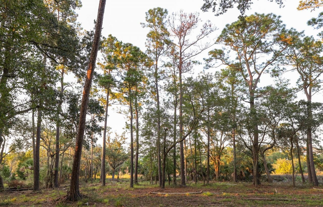 0 Haswell Street Photo 11