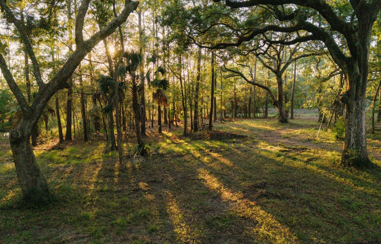 0 Haswell Street Photo 12