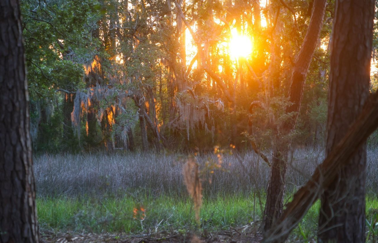 0 Haswell Street Photo 19