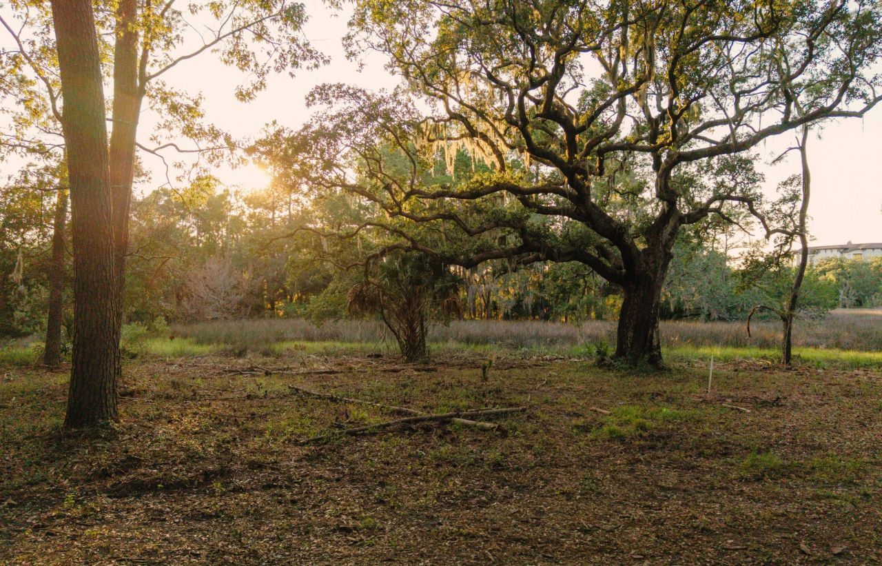 0 Haswell Street Photo 6