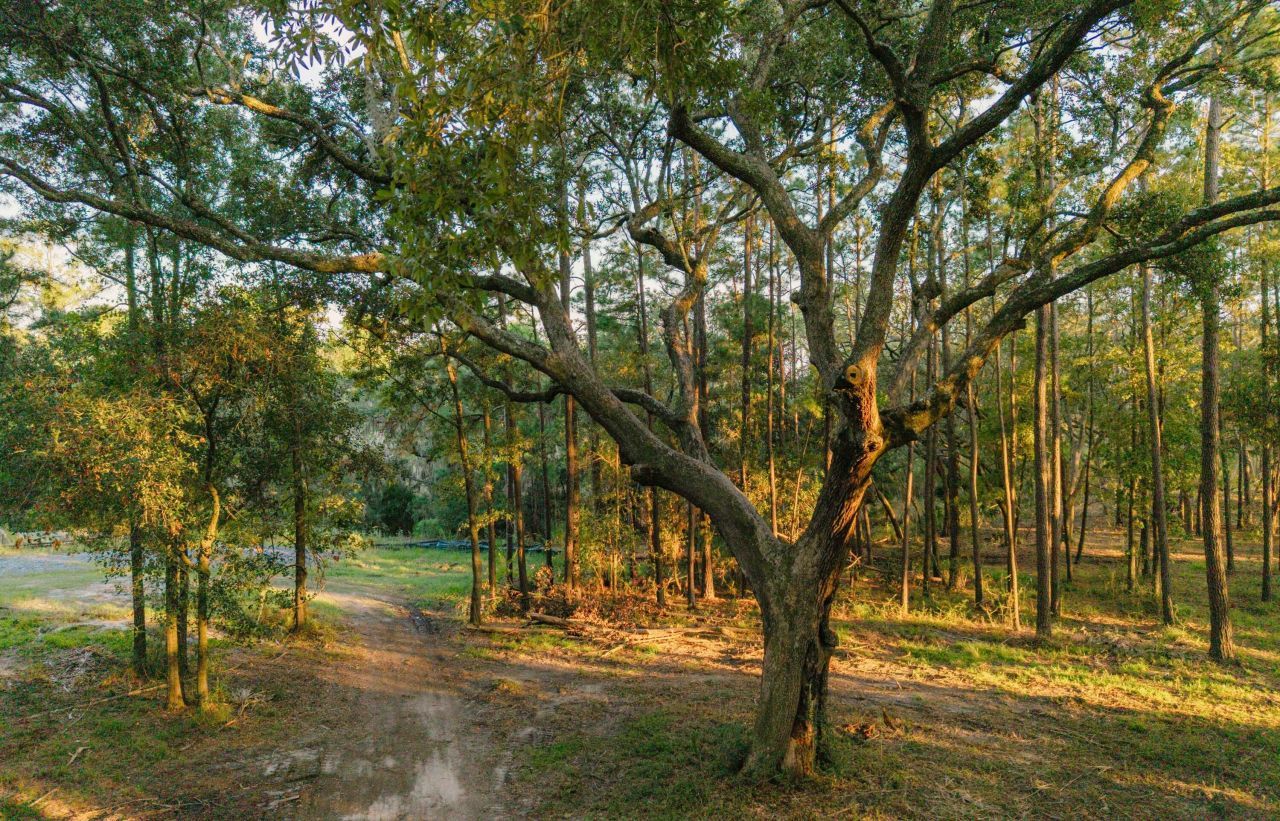 0 Haswell Street Photo 7