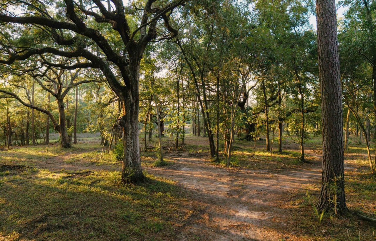 0 Haswell Street Photo 8