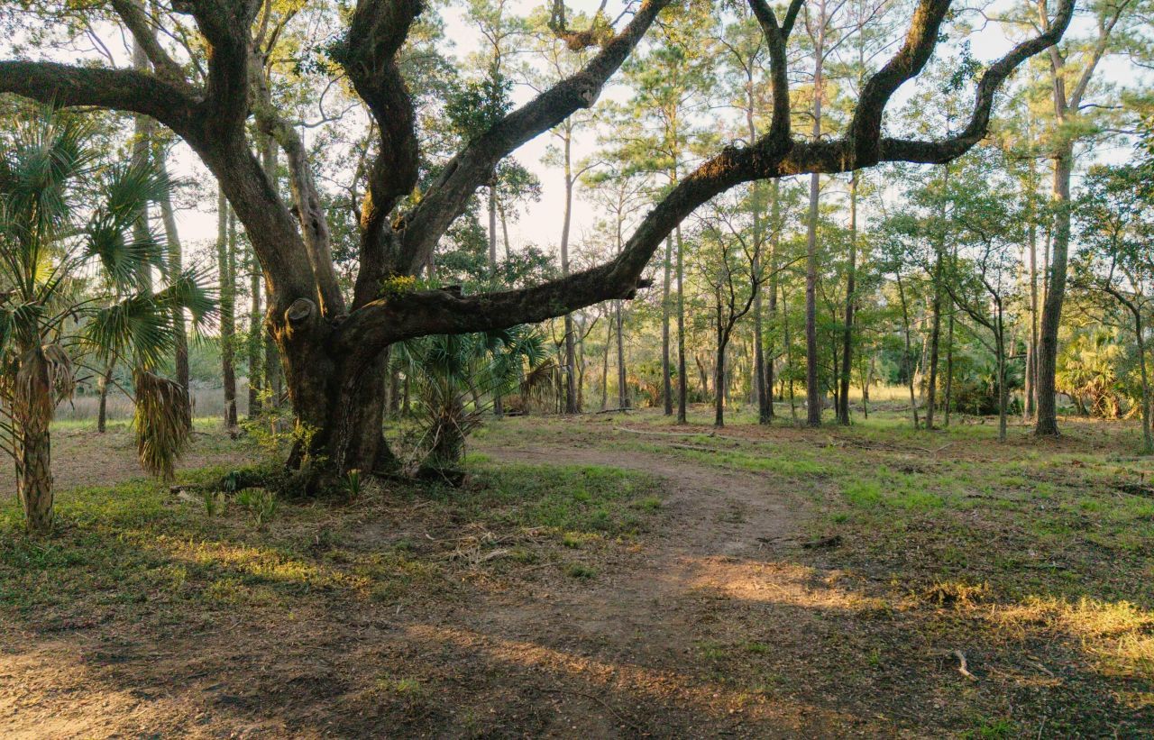 0 Haswell Street Photo 9