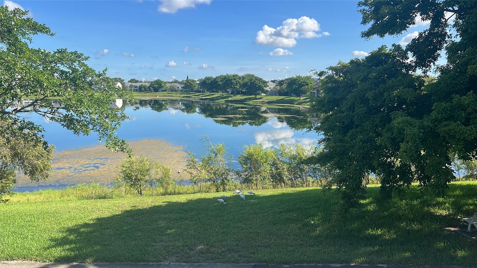 3421 NW 44th Street, Unit 205, Lauderdale Lakes, FL 33309 Photo