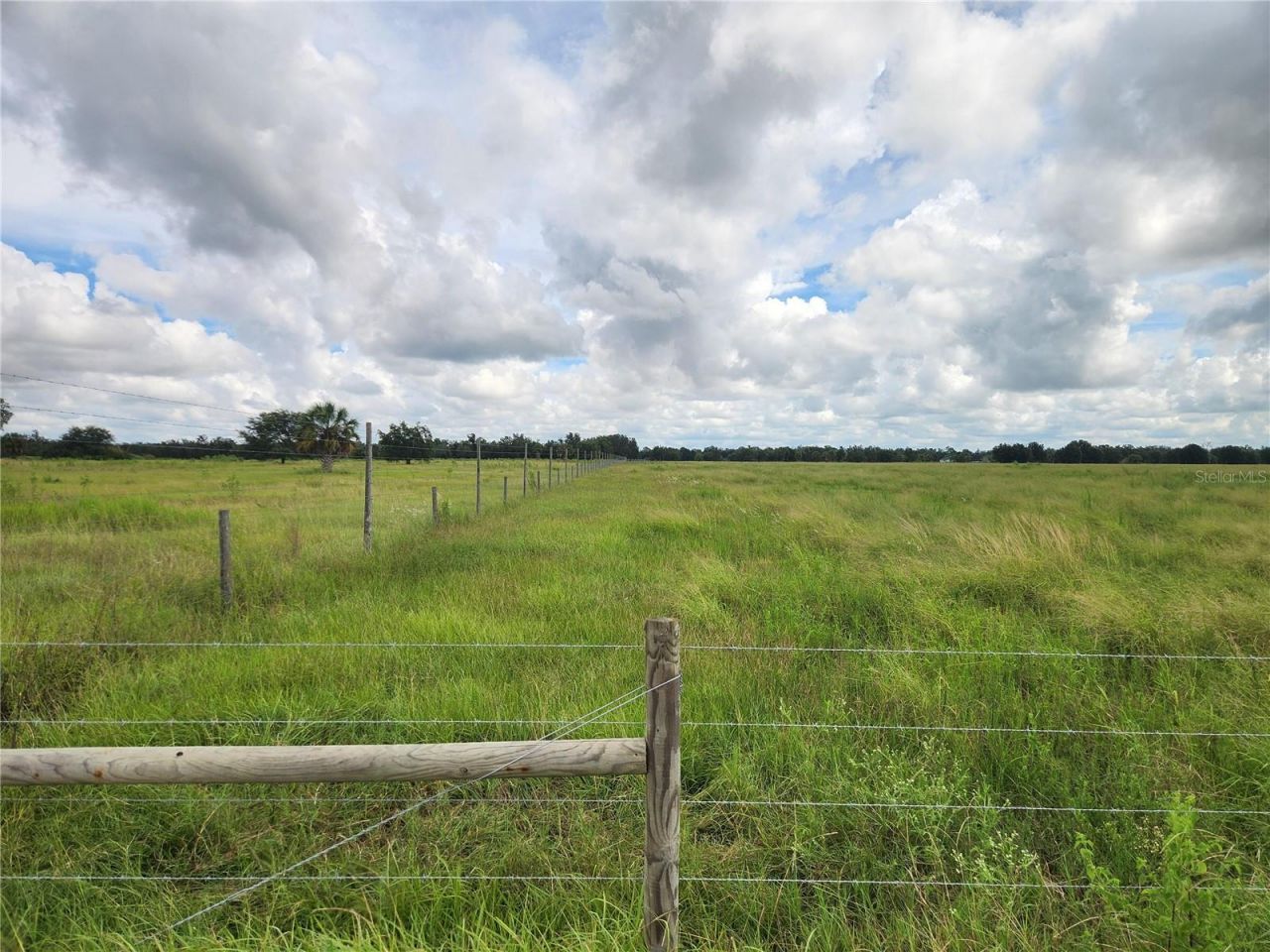 9022 Gough Road, Ona, FL 33865 Photo