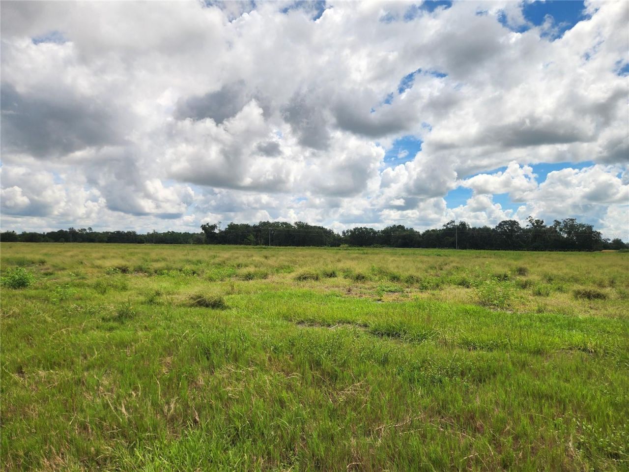 9022 Gough Road, Ona, FL 33865 Photo