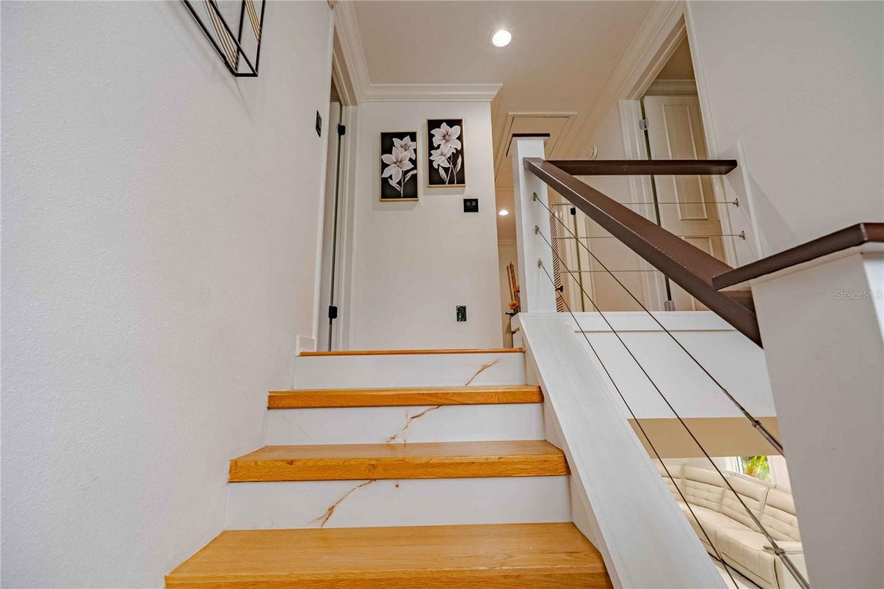 8020 Sharon Drive, Tampa, FL 33617 Photo