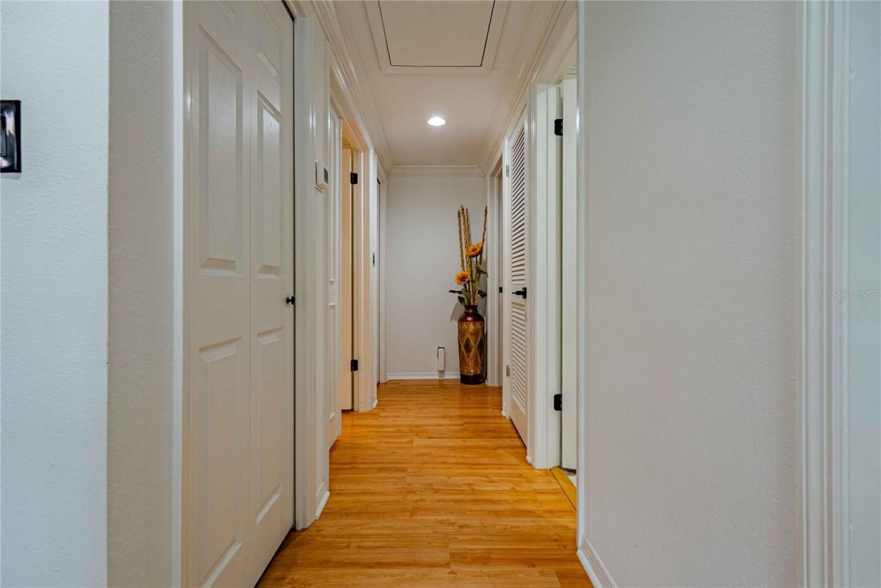 8020 Sharon Drive, Tampa, FL 33617 Photo