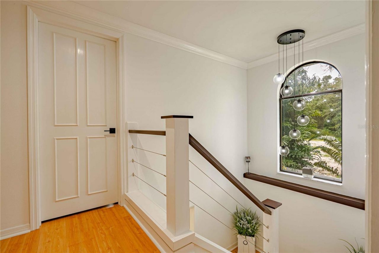 8020 Sharon Drive, Tampa, FL 33617 Photo