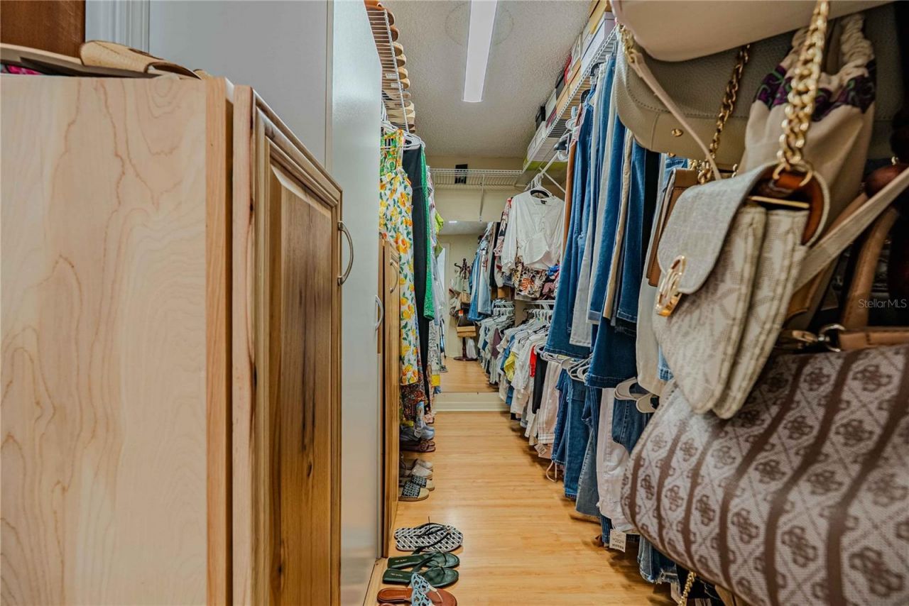 8020 Sharon Drive, Tampa, FL 33617 Photo