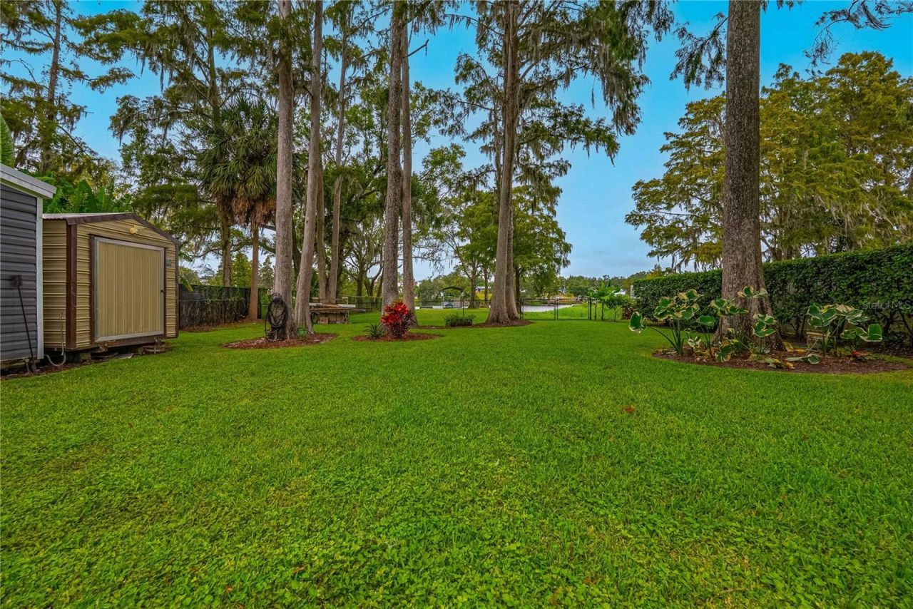 8020 Sharon Drive, Tampa, FL 33617 Photo