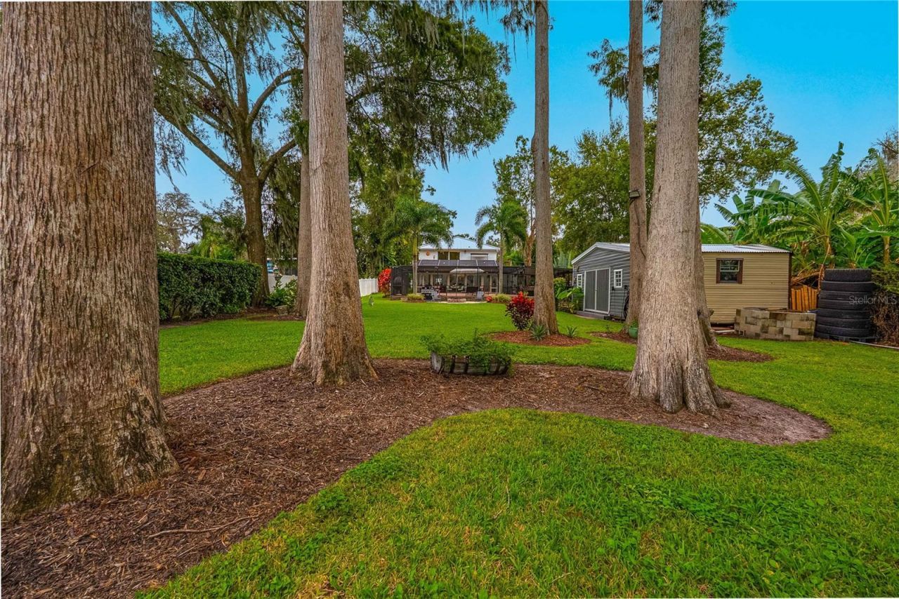 8020 Sharon Drive, Tampa, FL 33617 Photo