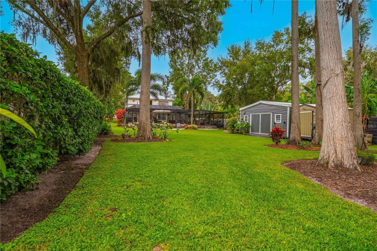 8020 Sharon Drive, Tampa, FL 33617 Photo