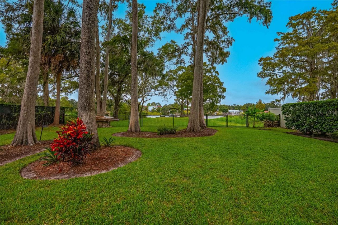 8020 Sharon Drive, Tampa, FL 33617 Photo