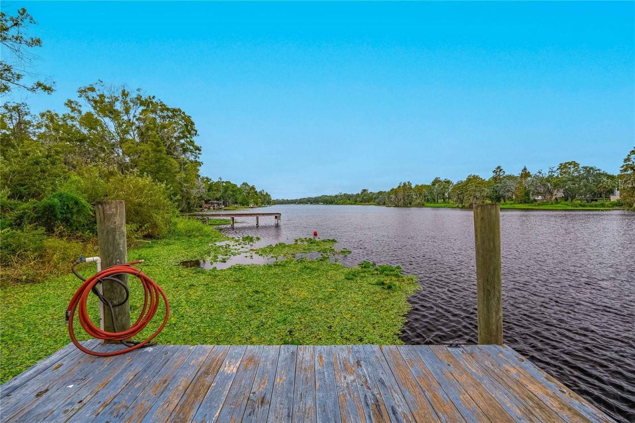 8020 Sharon Drive, Tampa, FL 33617 Photo