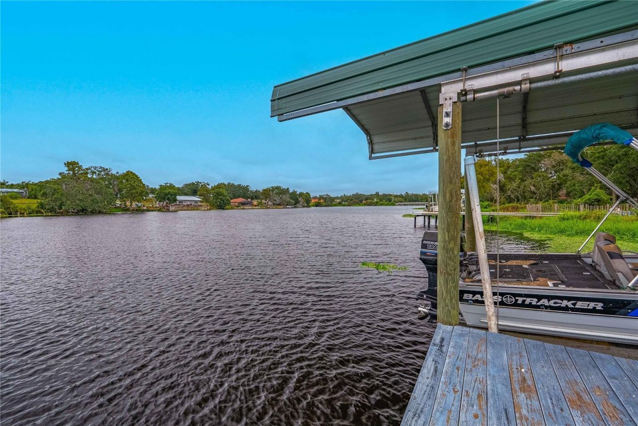 8020 Sharon Drive, Tampa, FL 33617 Photo