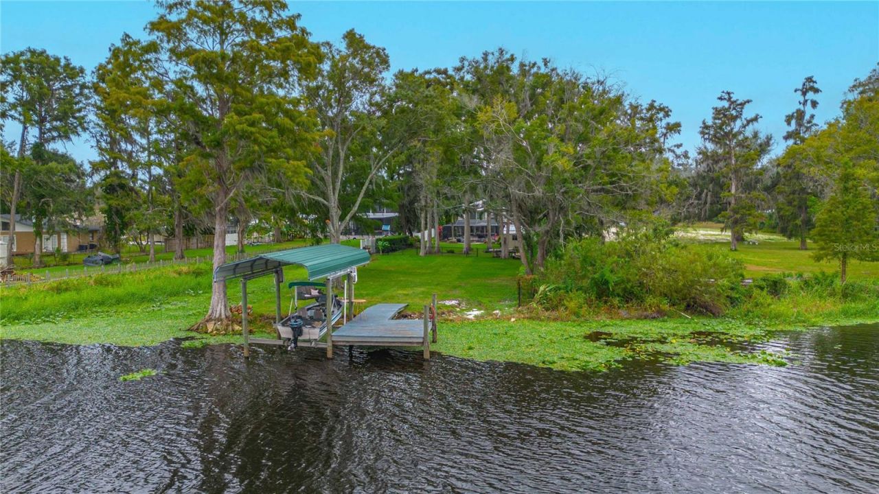 8020 Sharon Drive, Tampa, FL 33617 Photo