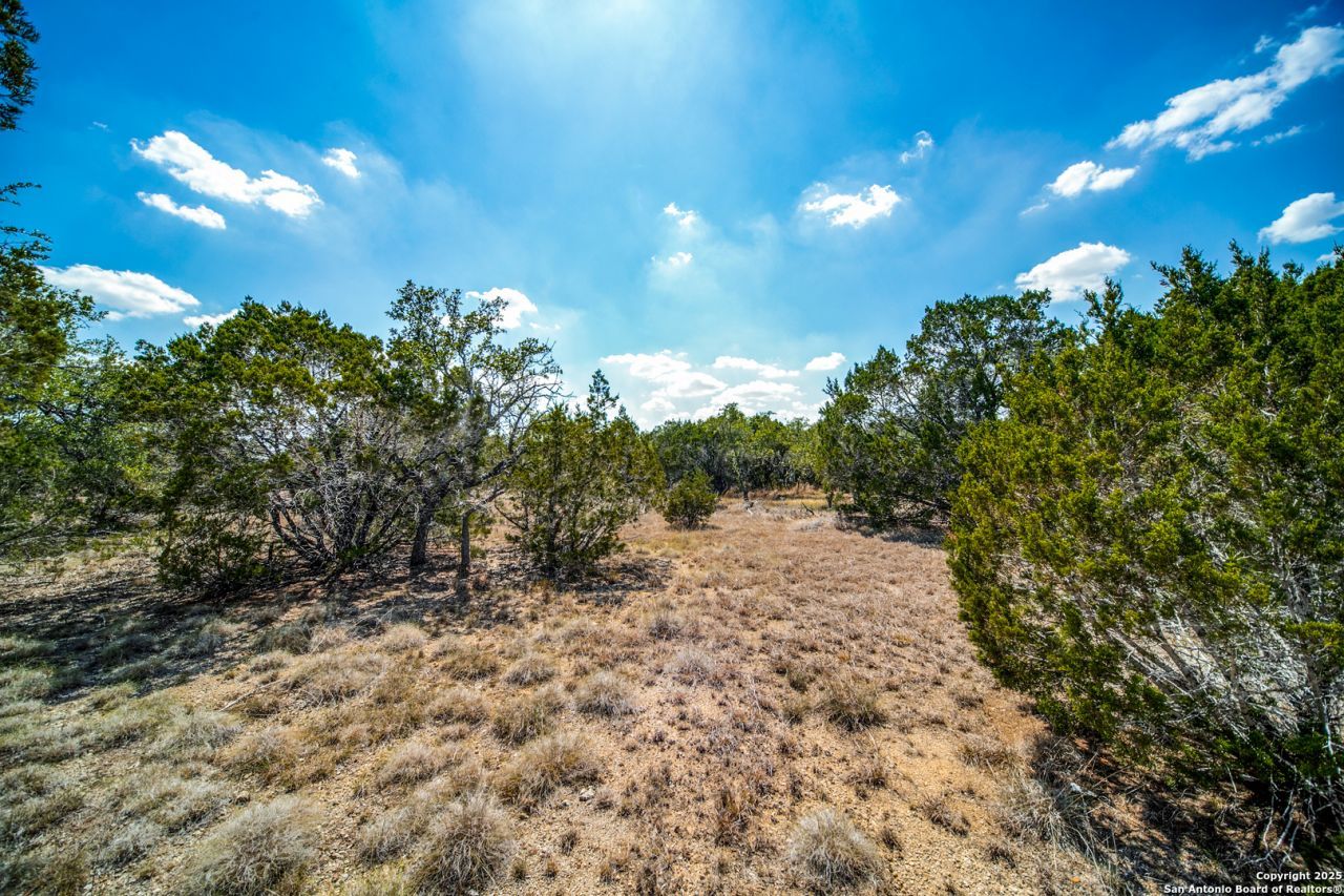 972 Scarlett Ridge, Bulverde, TX 78163 Main Photo