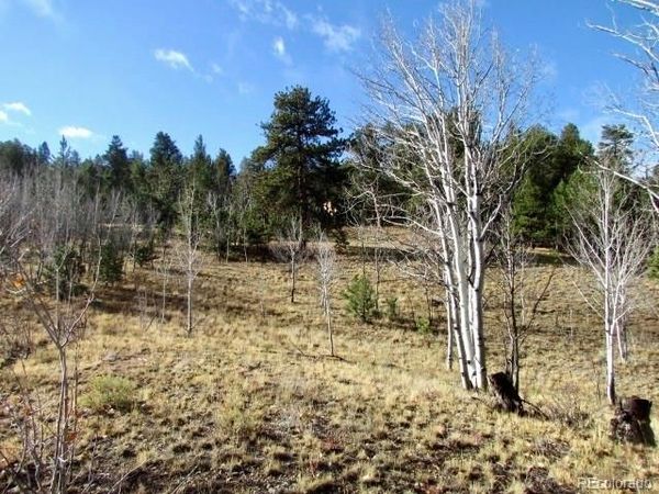 TBD Cherokee Trail, Hartsel, CO 80449