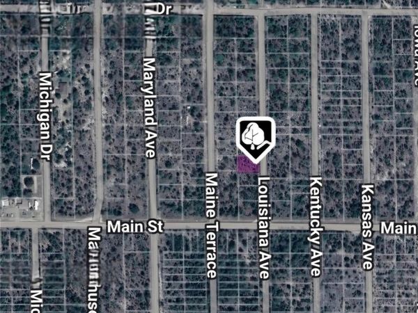 LOT 19 AND 20 LOUISIANA AVENUE, HAWTHORNE, FL 32640