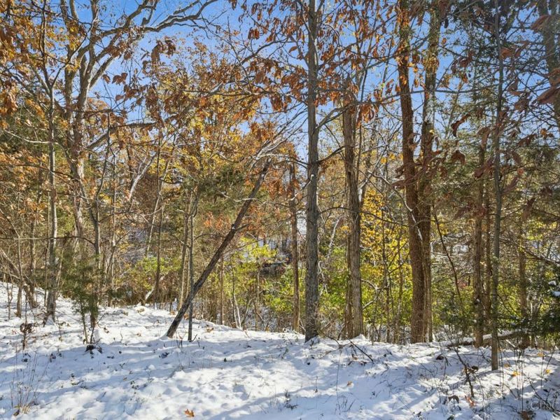 476 S Waynoka Drive, Jackson Twp, OH 45171 Photo 4