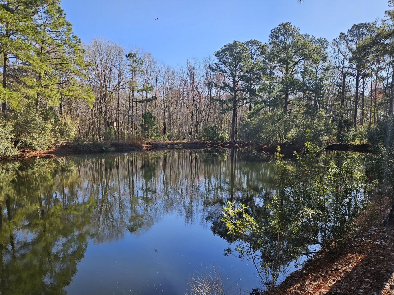 3586 Kitford Road Photo 5