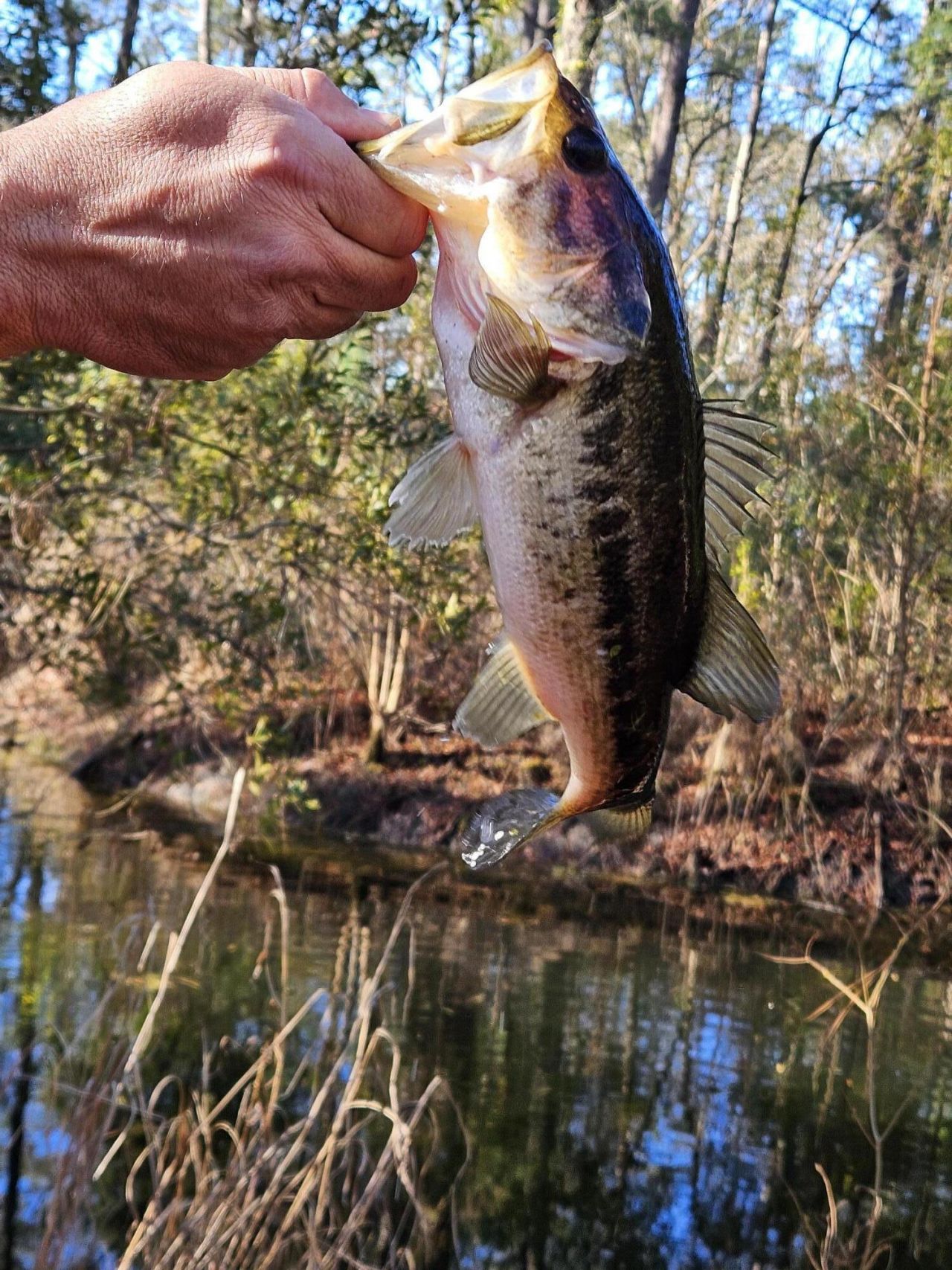 3586 Kitford Road Photo 6