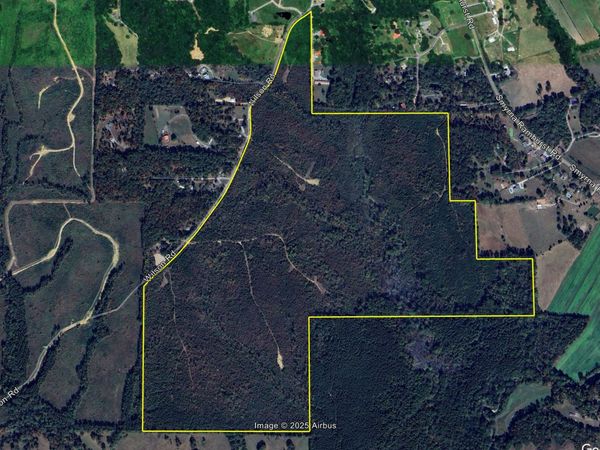 243 Acres Wilson Road, Chatsworth, GA 30705