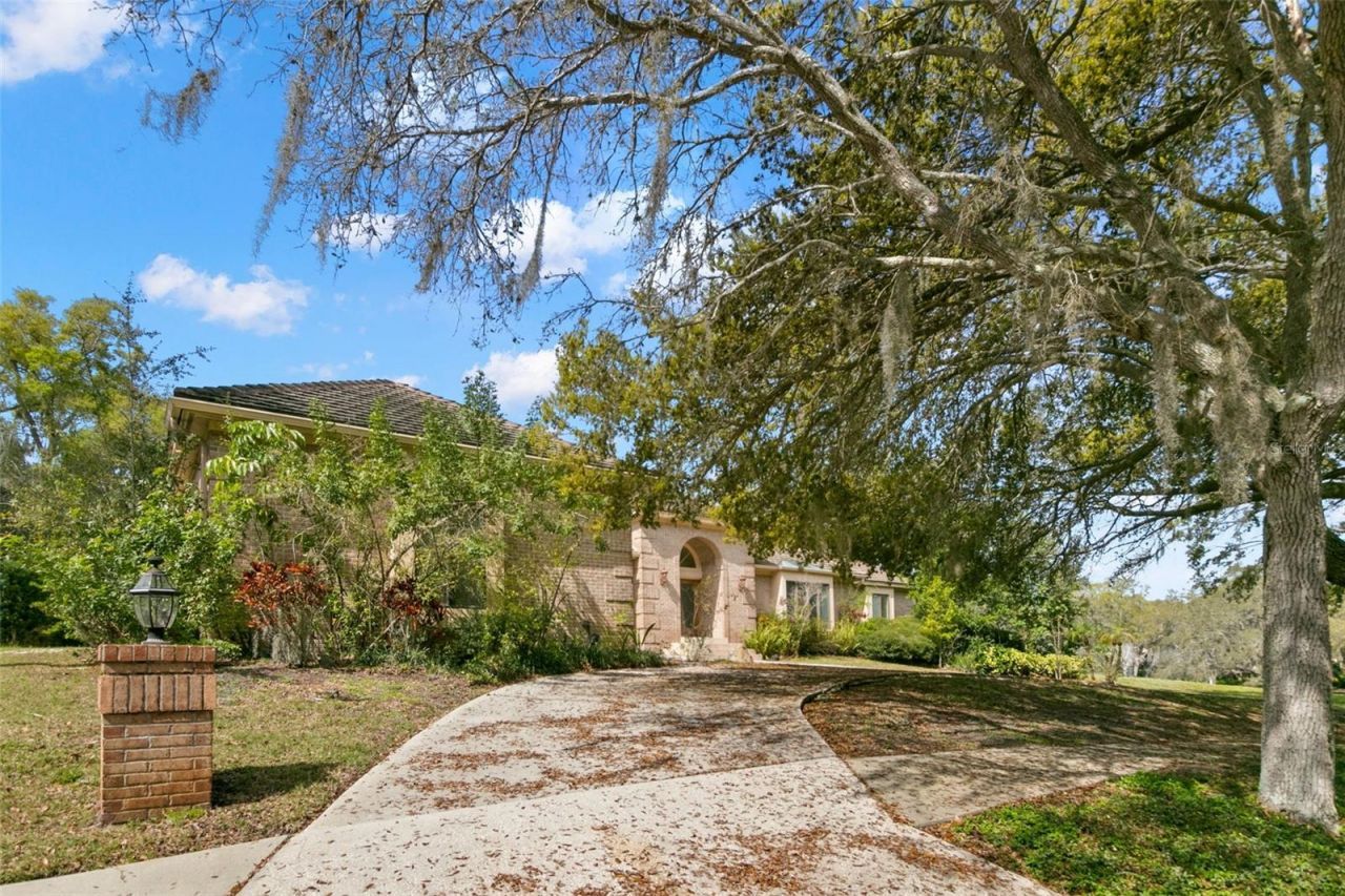 3498 Shoreline Circle, Palm Harbor, FL 34684 Photo