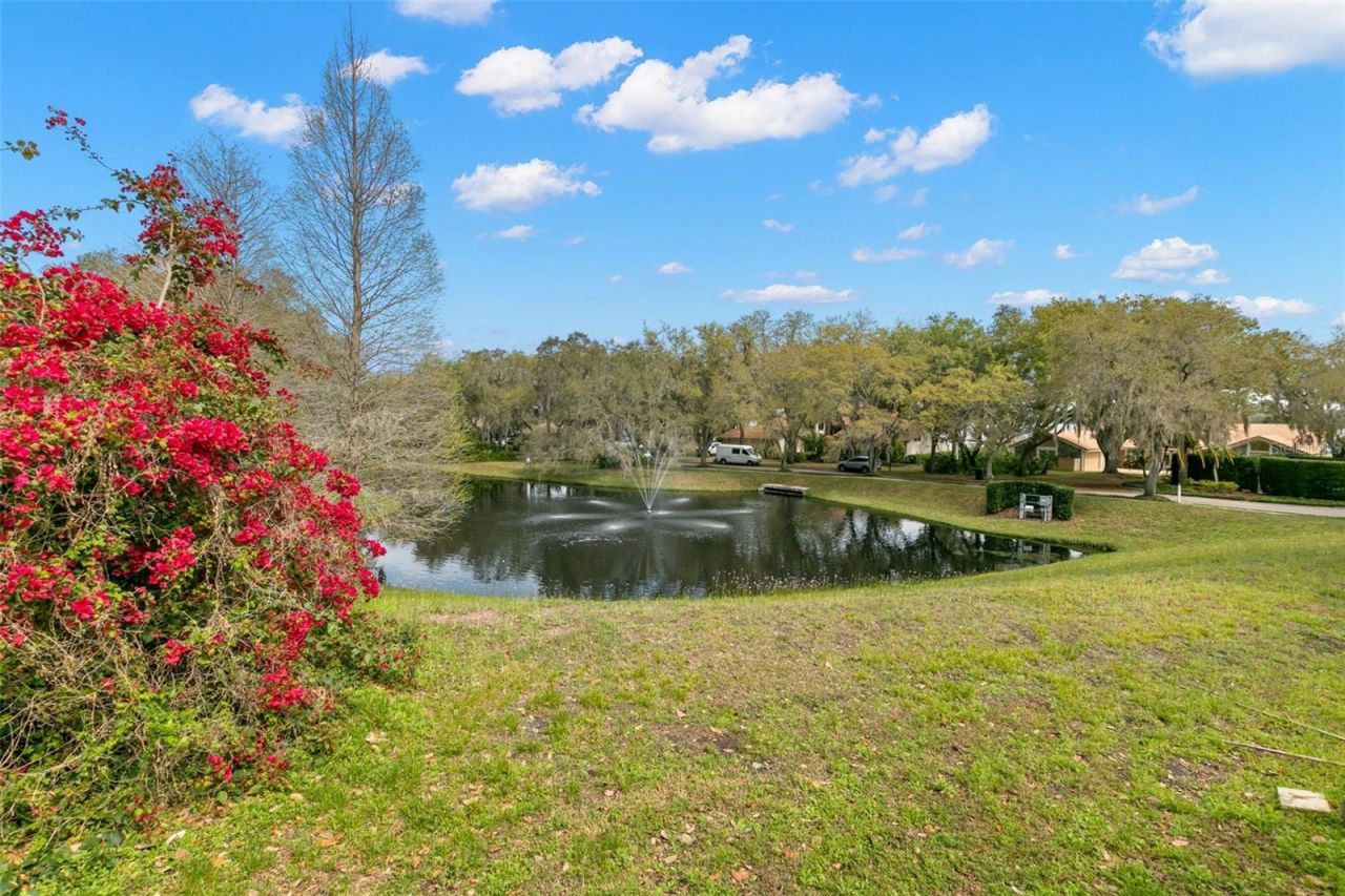 3498 Shoreline Circle, Palm Harbor, FL 34684 Photo