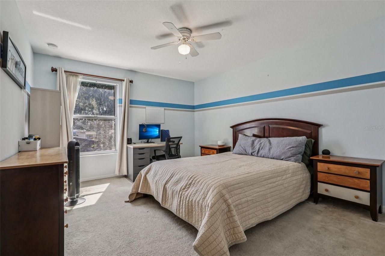 13101 Done Groven Drive, Dover, FL 33527 Photo