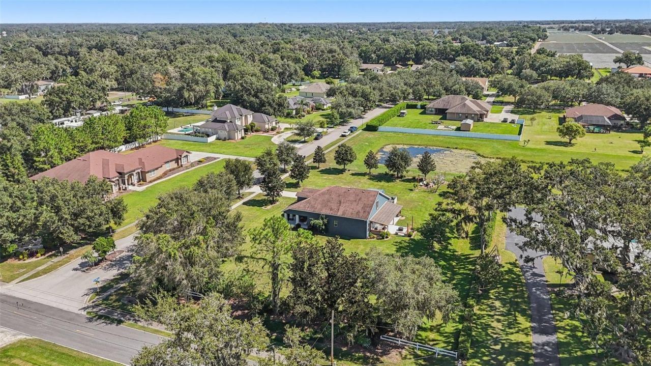 13101 Done Groven Drive, Dover, FL 33527 Photo