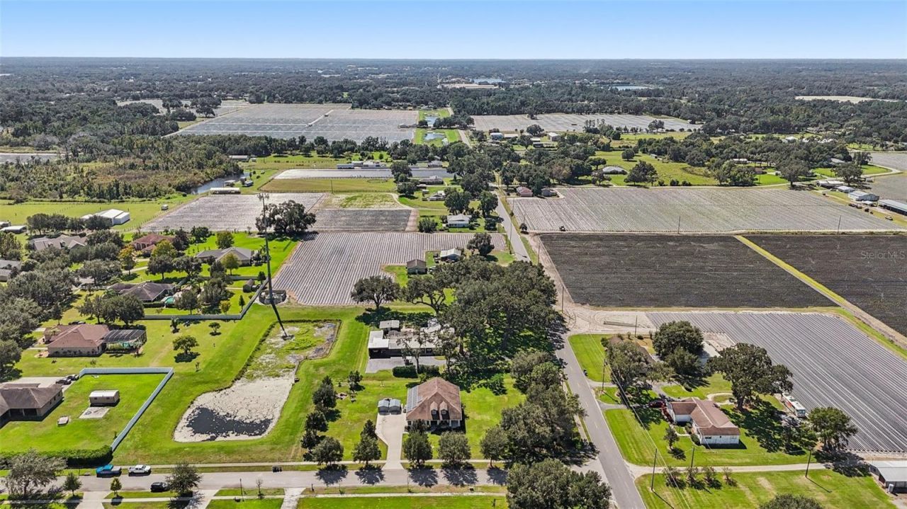 13101 Done Groven Drive, Dover, FL 33527 Photo