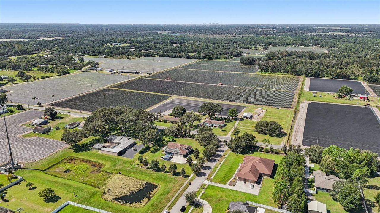 13101 Done Groven Drive, Dover, FL 33527 Photo