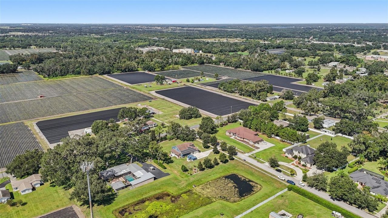 13101 Done Groven Drive, Dover, FL 33527 Photo