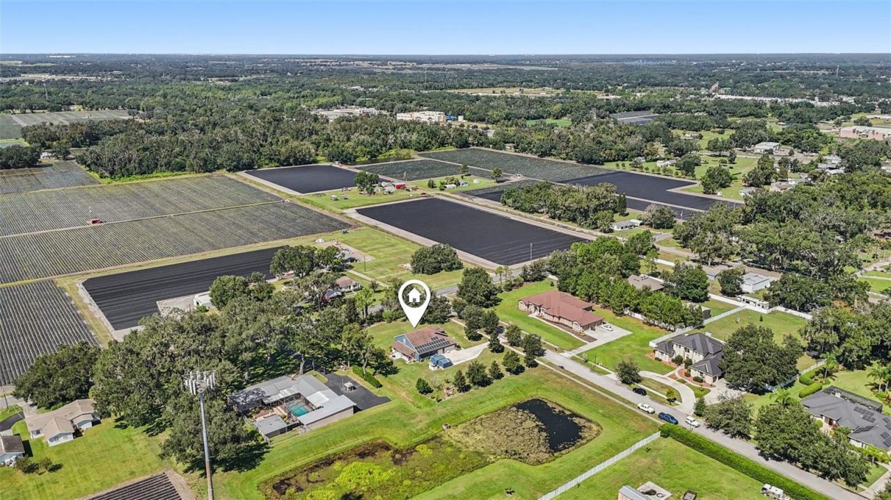 13101 Done Groven Drive, Dover, FL 33527 Photo