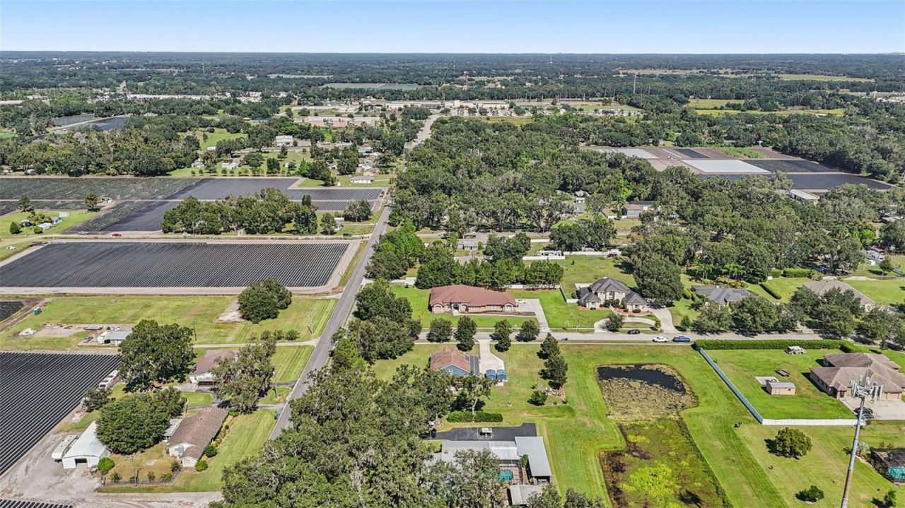 13101 Done Groven Drive, Dover, FL 33527 Photo