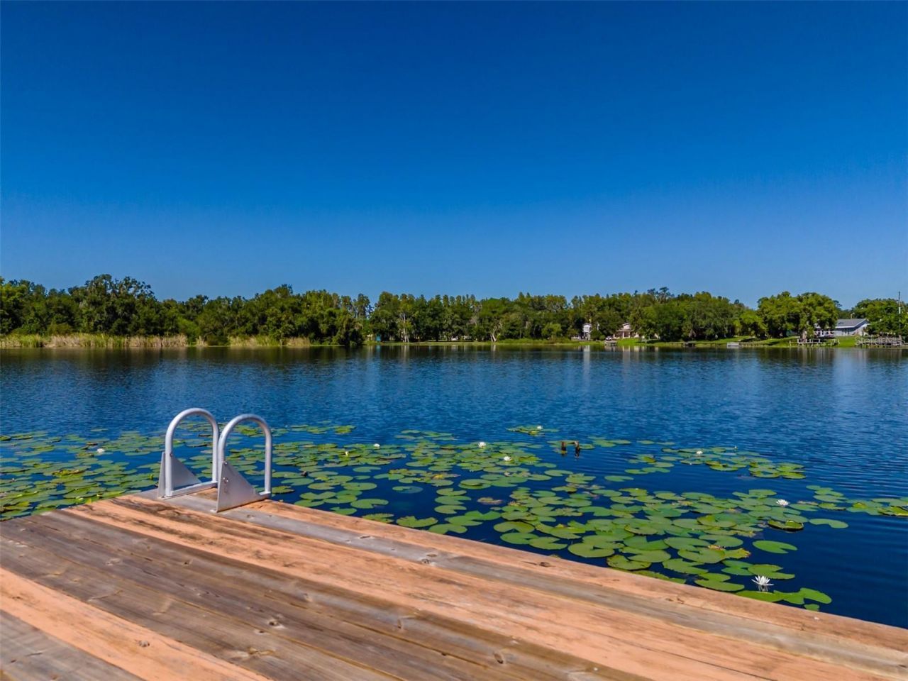 2327 Camp Indianhead Road, Land O Lakes, FL 34639 Photo