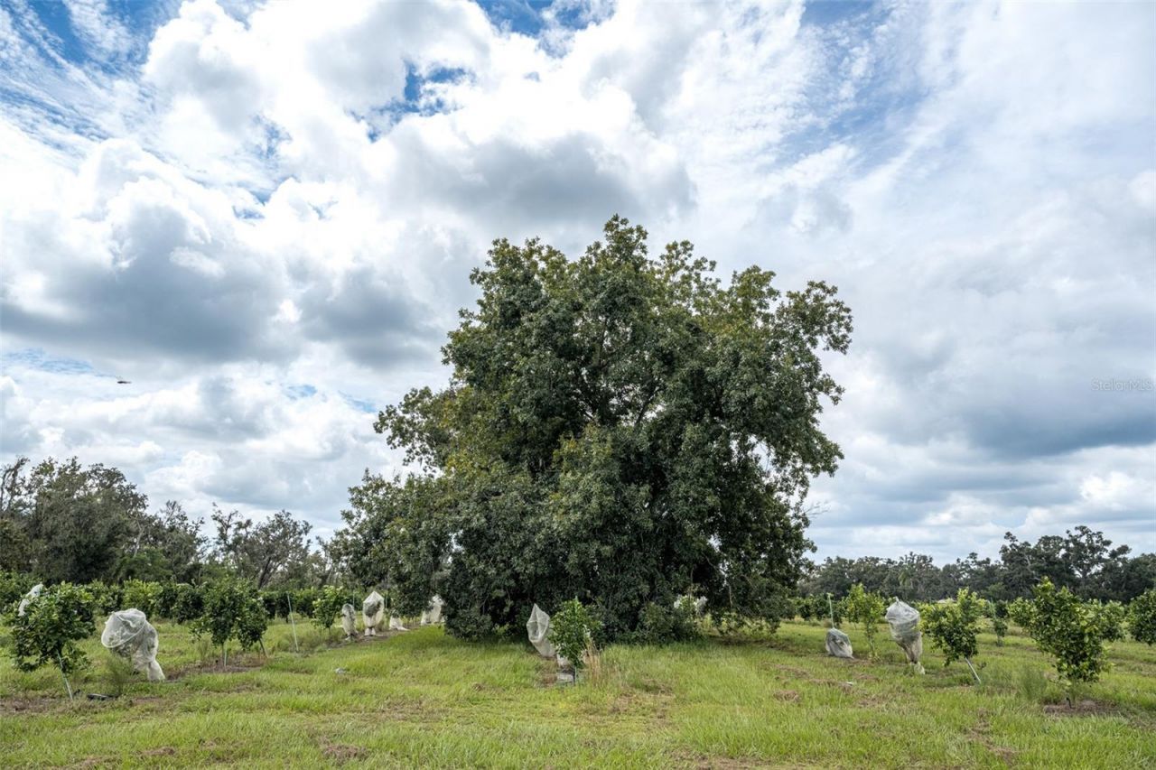 32715 Singletary Road, Myakka City, FL 34251 Photo