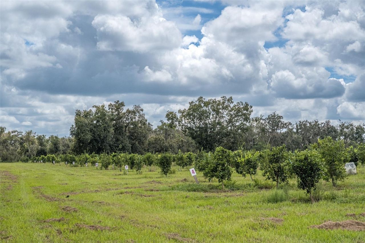 32715 Singletary Road, Myakka City, FL 34251 Photo