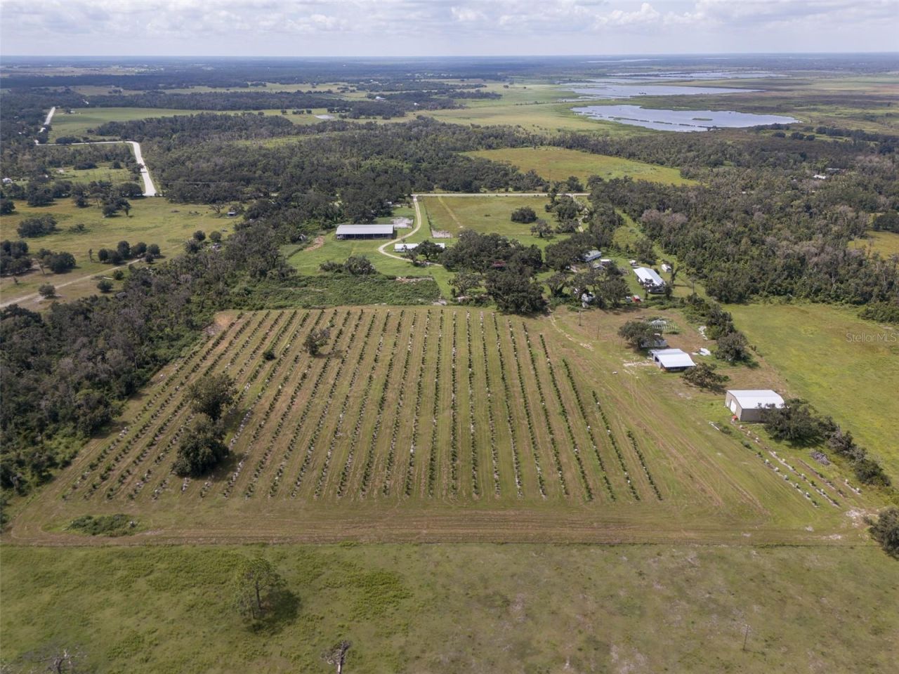 32715 Singletary Road, Myakka City, FL 34251 Photo