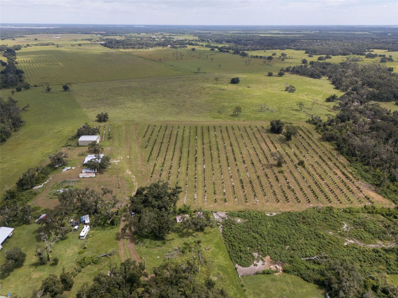 32715 Singletary Road, Myakka City, FL 34251 Photo