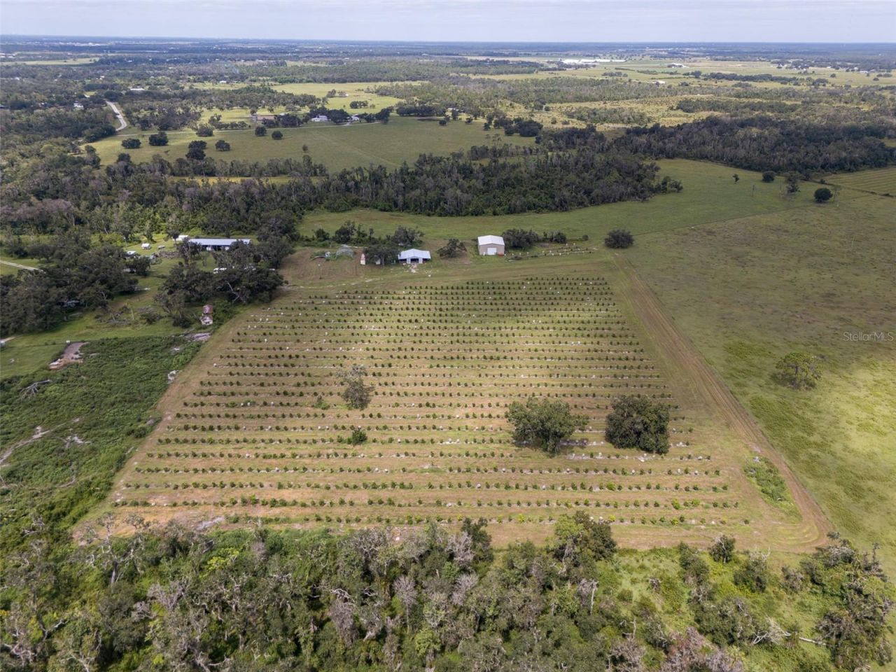 32715 Singletary Road, Myakka City, FL 34251 Photo